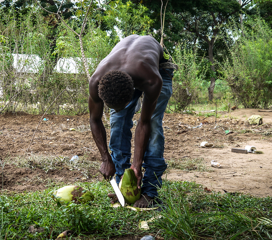man cutting coconut