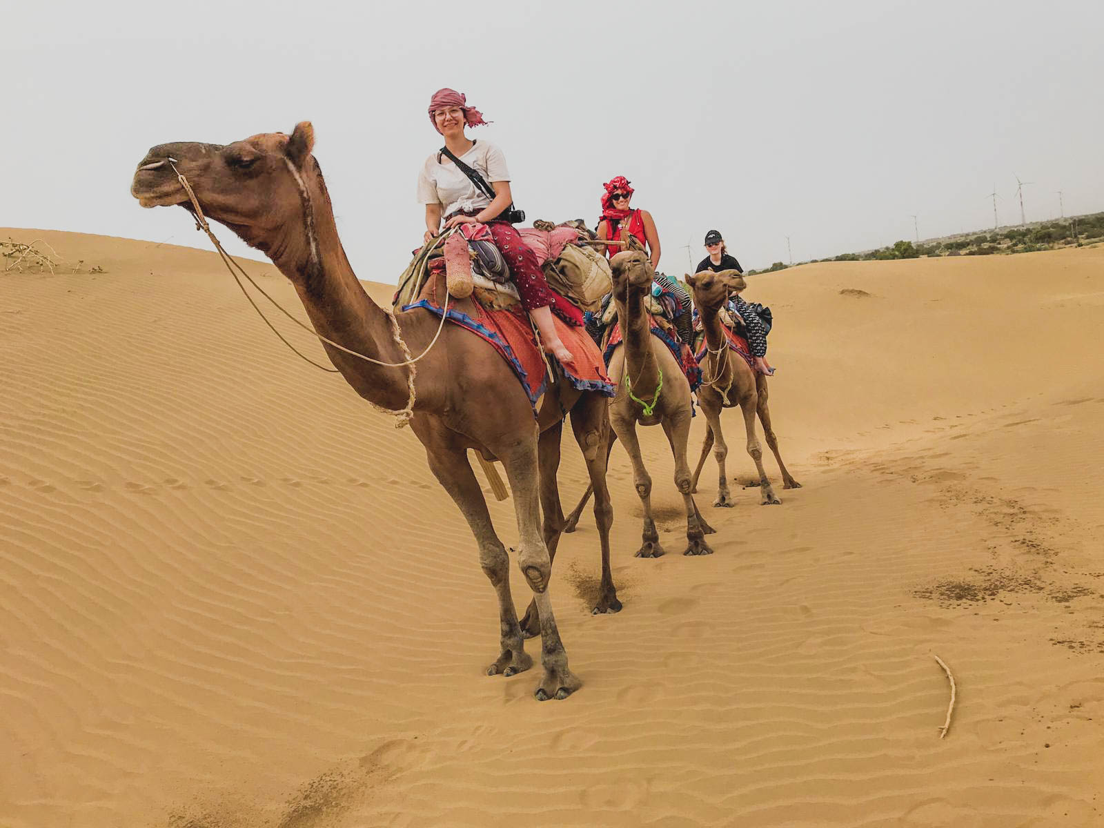 riding camels in India