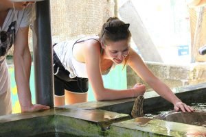 stroking the turtles