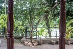 view from the back entrance (Kandy)