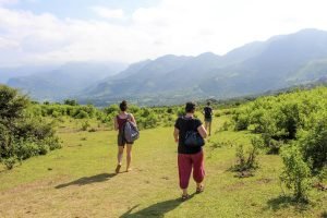 walking through green hills