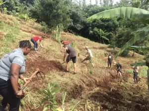 Participants-working-in-the-local-farm-min