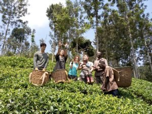 _Group photo at tea farm