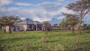 Landscape - Maasai Village (28)