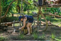 feeding the lemurs