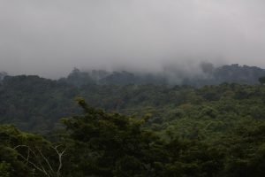 green Mountains