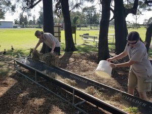 Newcastle animal sanctuary