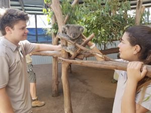 Newcastle wildlife volunteering