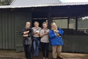 IVI volunteers holding rabbits