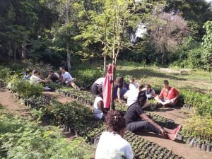 Planting