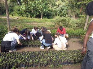 Planting