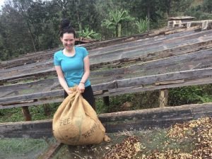 Working at coffee factory