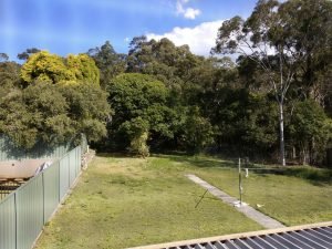 _backyard- Newcastle