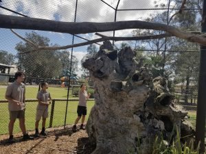 cleaning animal enclosures