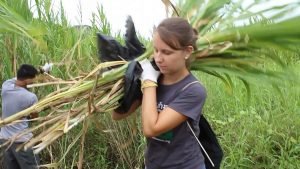 elephant conservation project 2