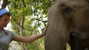 elephant conservation project