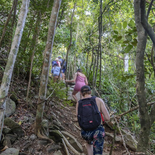 walking through jungle