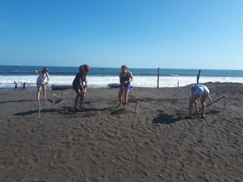 raking the beach