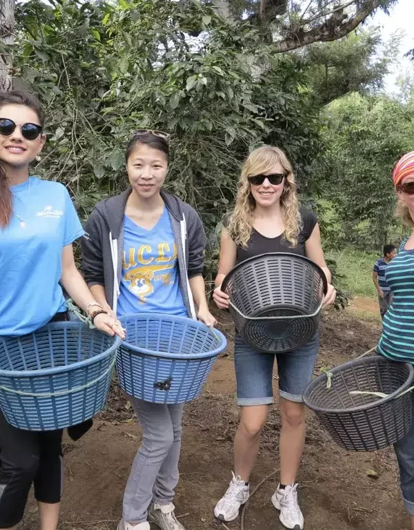volunteers-on-coffee-farm
