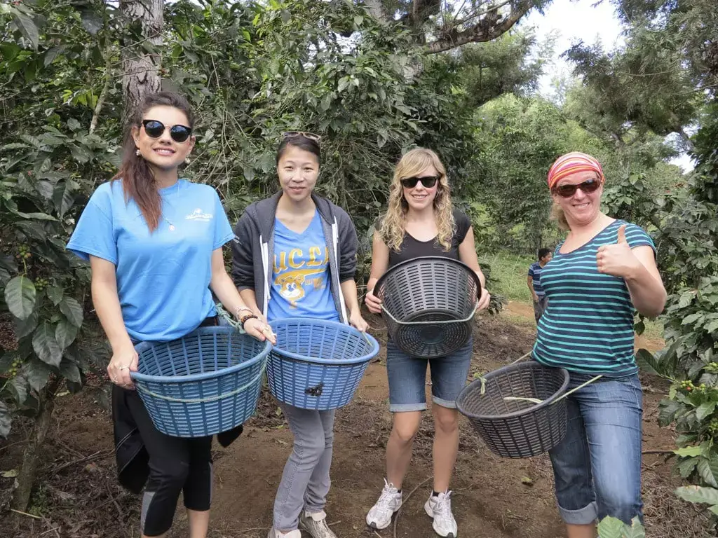 volunteers-on-coffee-farm