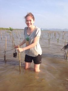 Planting Mangrove tree at the beach