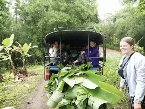 Preparing-food-for-elephants-1