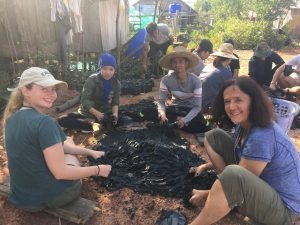 Preparing soil to plant the mangrove seed