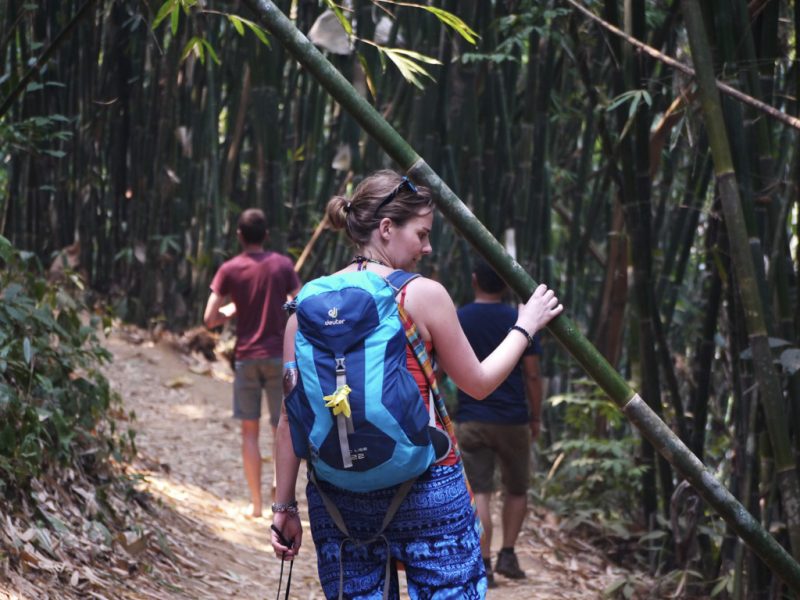 _Trekking in the jungle to waterfall