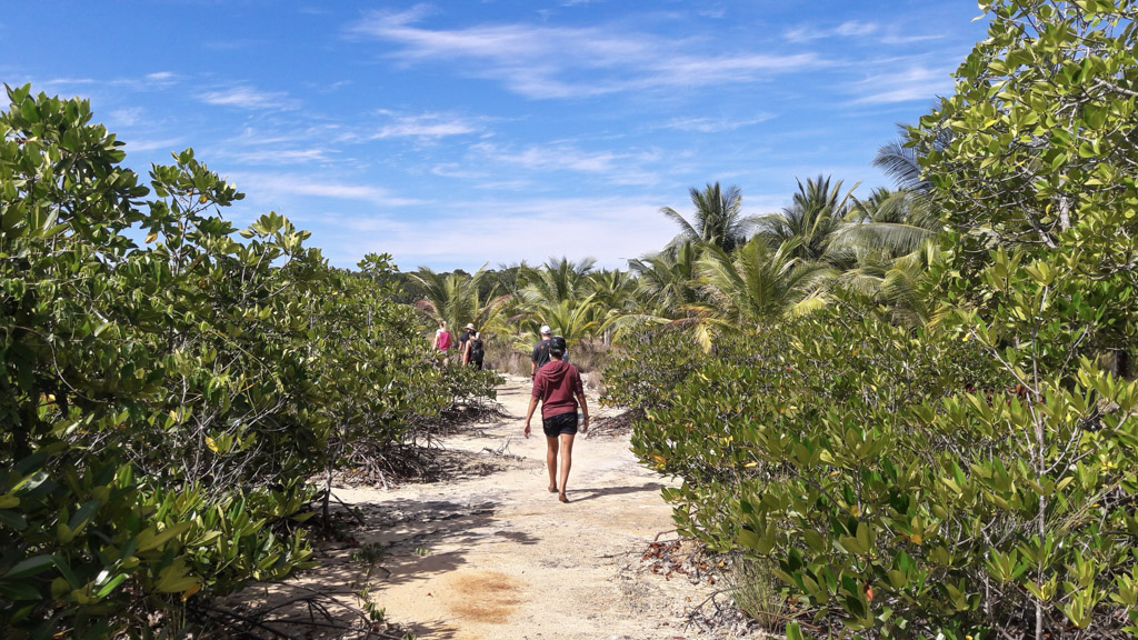 _Walking in nature