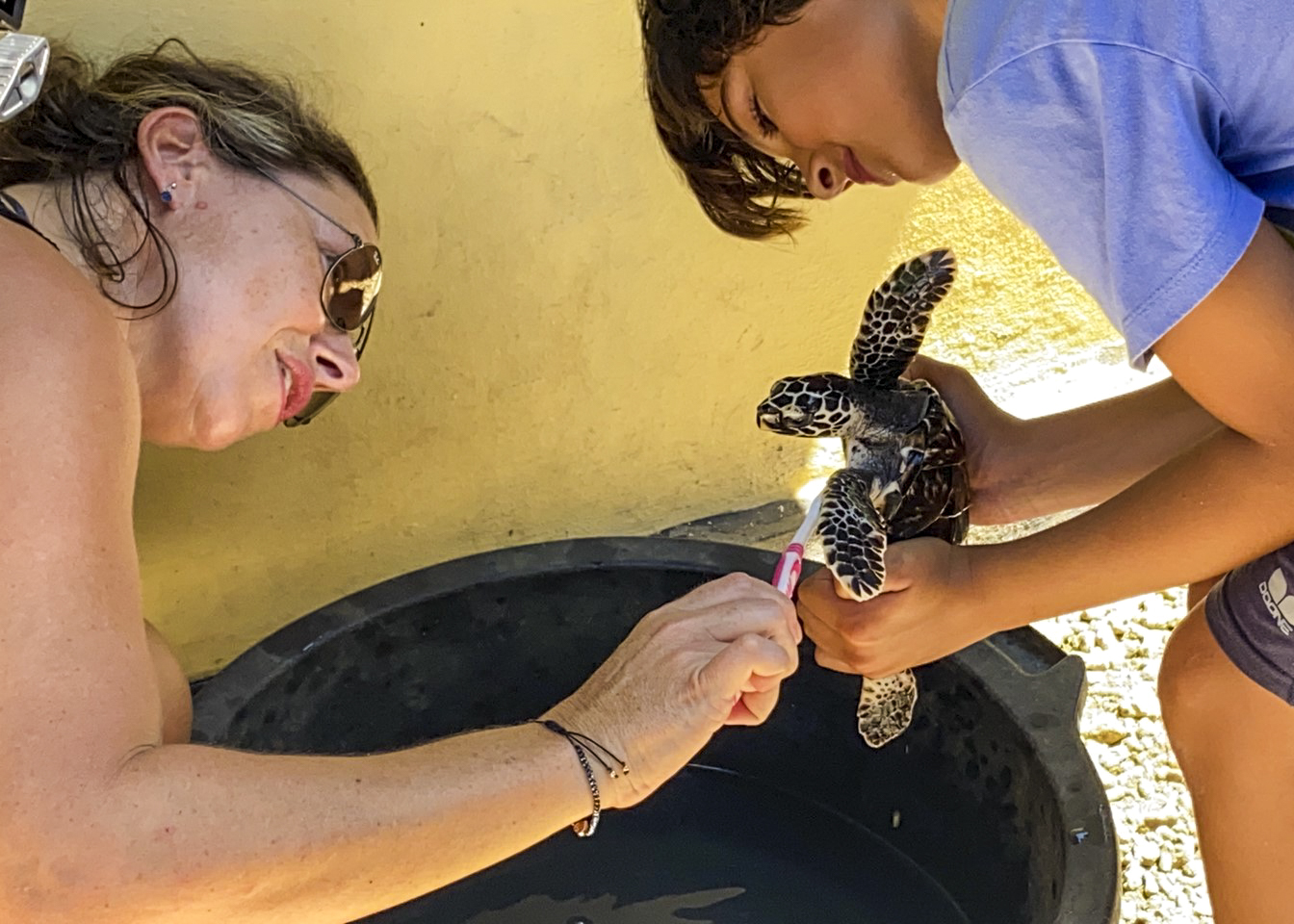 mum and son cleaning a turtle