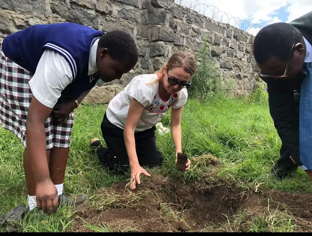 planting seedlings