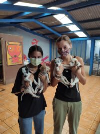volunteers holding puppies