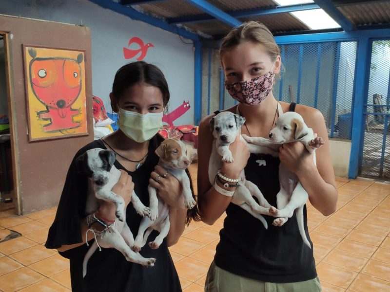 volunteers holding puppies
