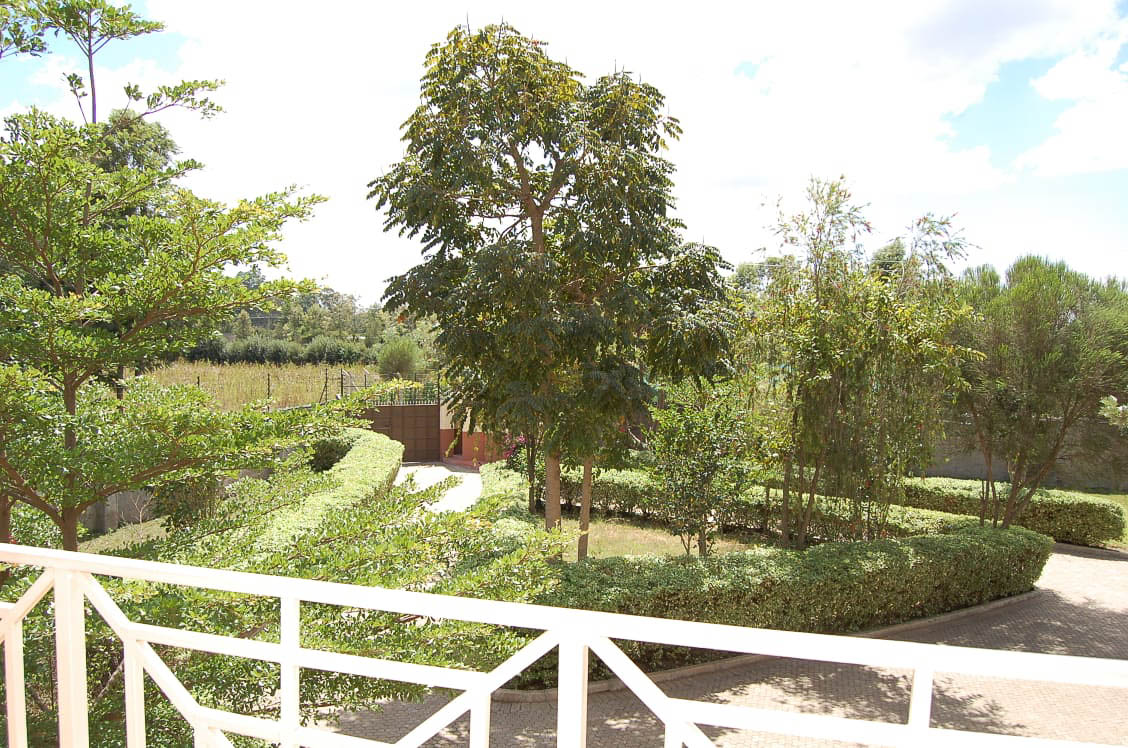 Garden in front of the accommodation
