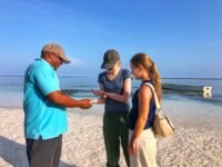 finding turtle food on beach