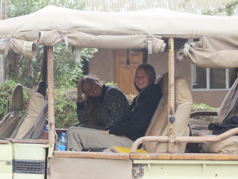 vollies in safari jeep