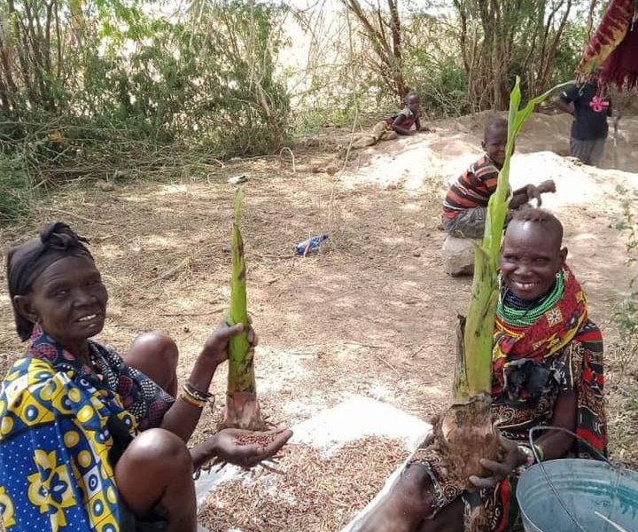 environmental program kakuma