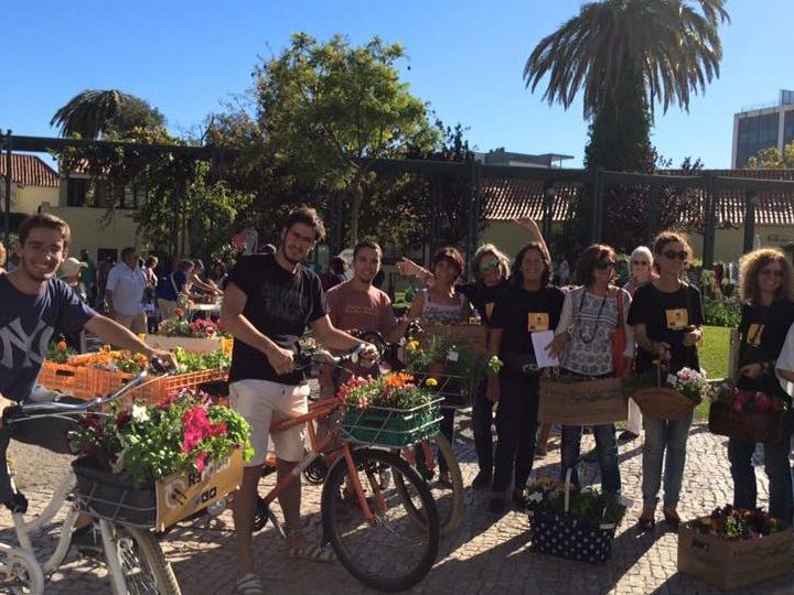 Volunteers-collecting-food