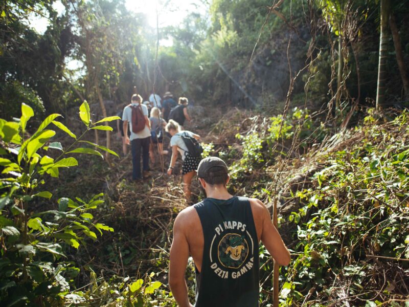 hiking in the jungle