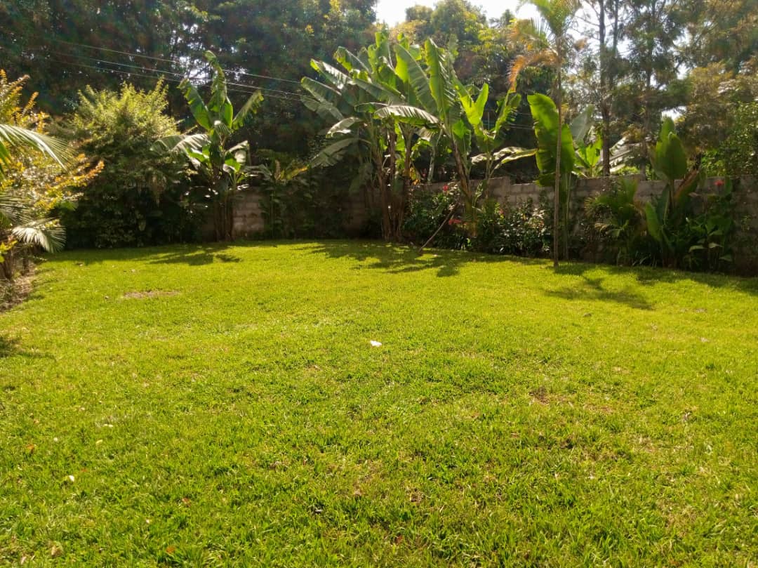 Arusha accommodation garden