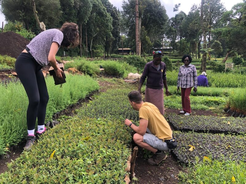 conservation tanzania