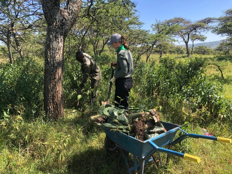 environmental program kenya