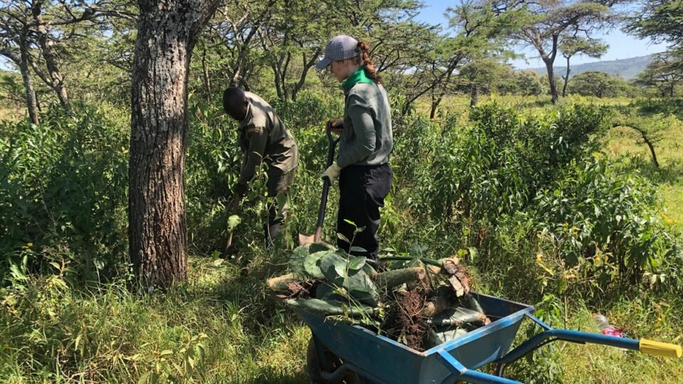 environmental program kenya