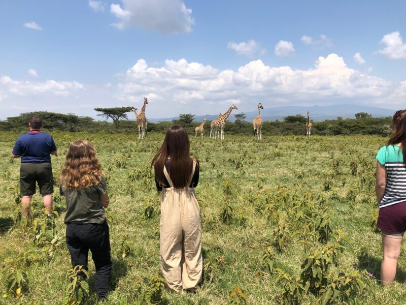 volunteers with giraffe in background