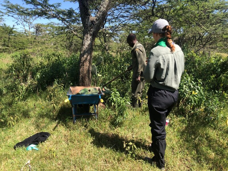 weeding on kenya environmental program