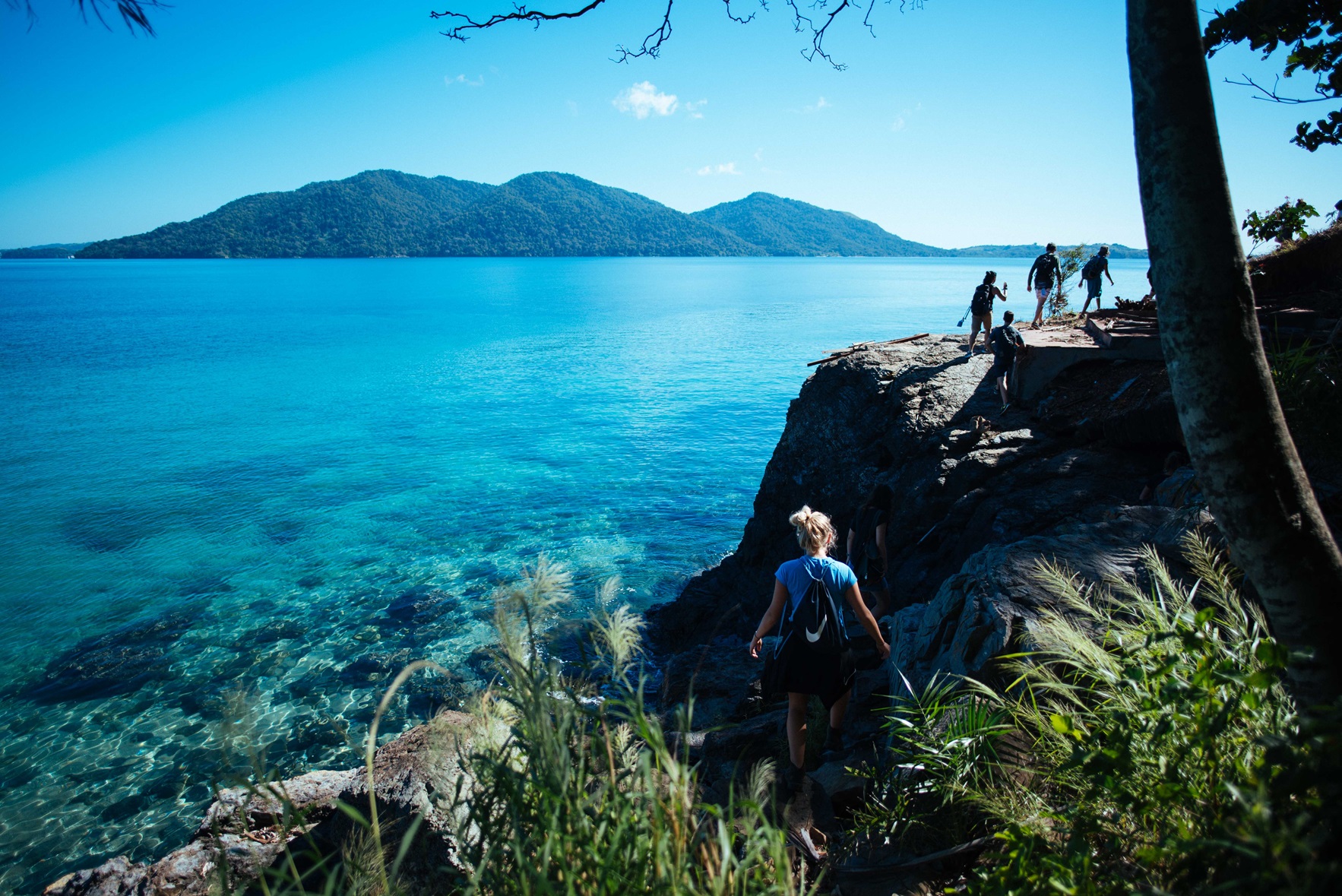 nosy komba walk on island