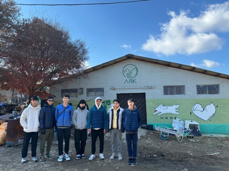 group at animal centre