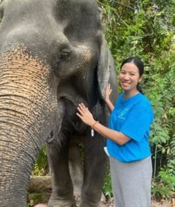 standing with elephant