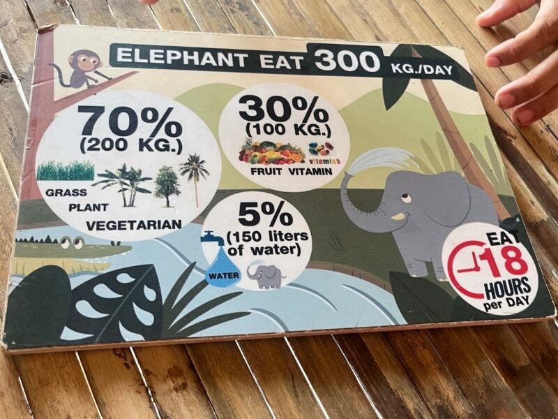 elephant sign board