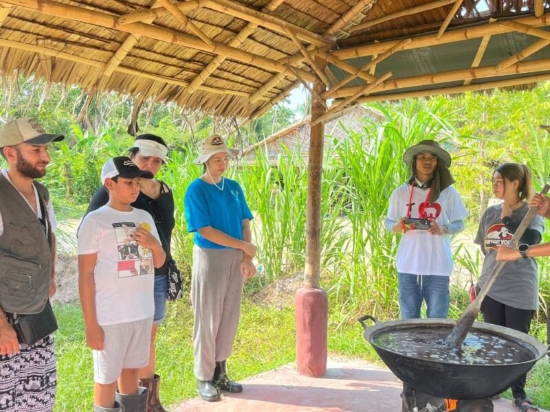 Koh Samui Elephant Program